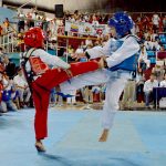 Copa Embajador Taekwondo